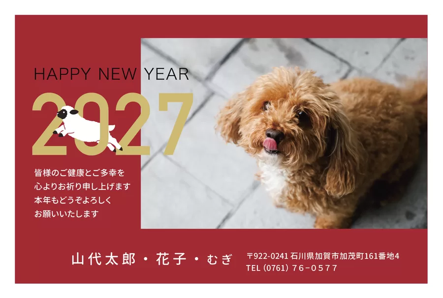 フォト-110